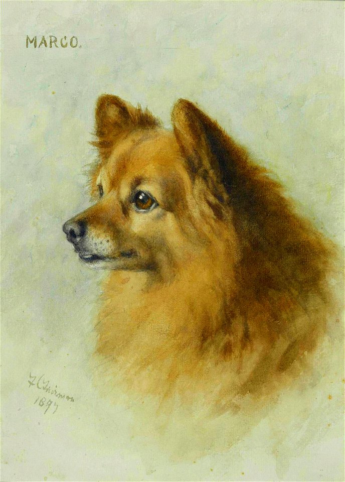 Marco by Frances C. Fairman