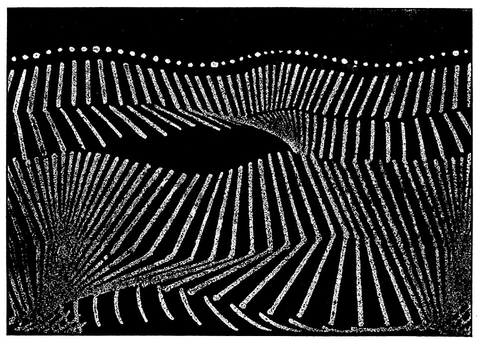 Marey La méth. graphique 0768