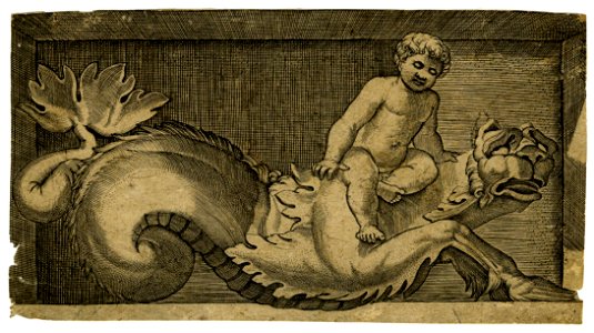 Marco da Ravenna - A naked child sitting on a marine creature in a niche, 1863,0725.1746