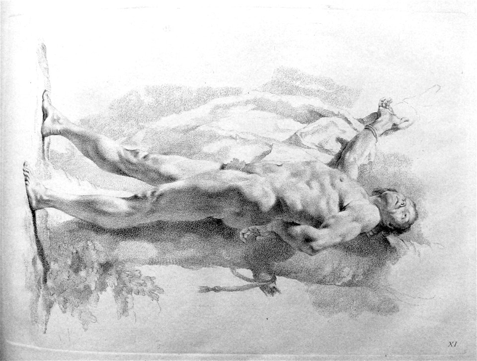 Marco Pitteri - Plate 11 A full length nude man, his body in profile, his face turned to the front and looking up, 1860,1208.299