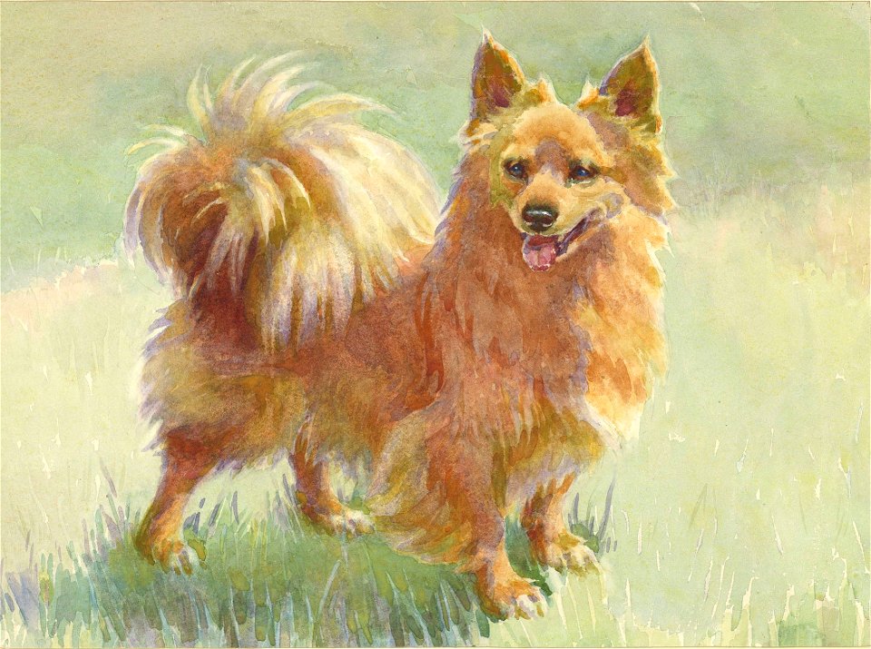 Marco by Frances C. Fairman (2)