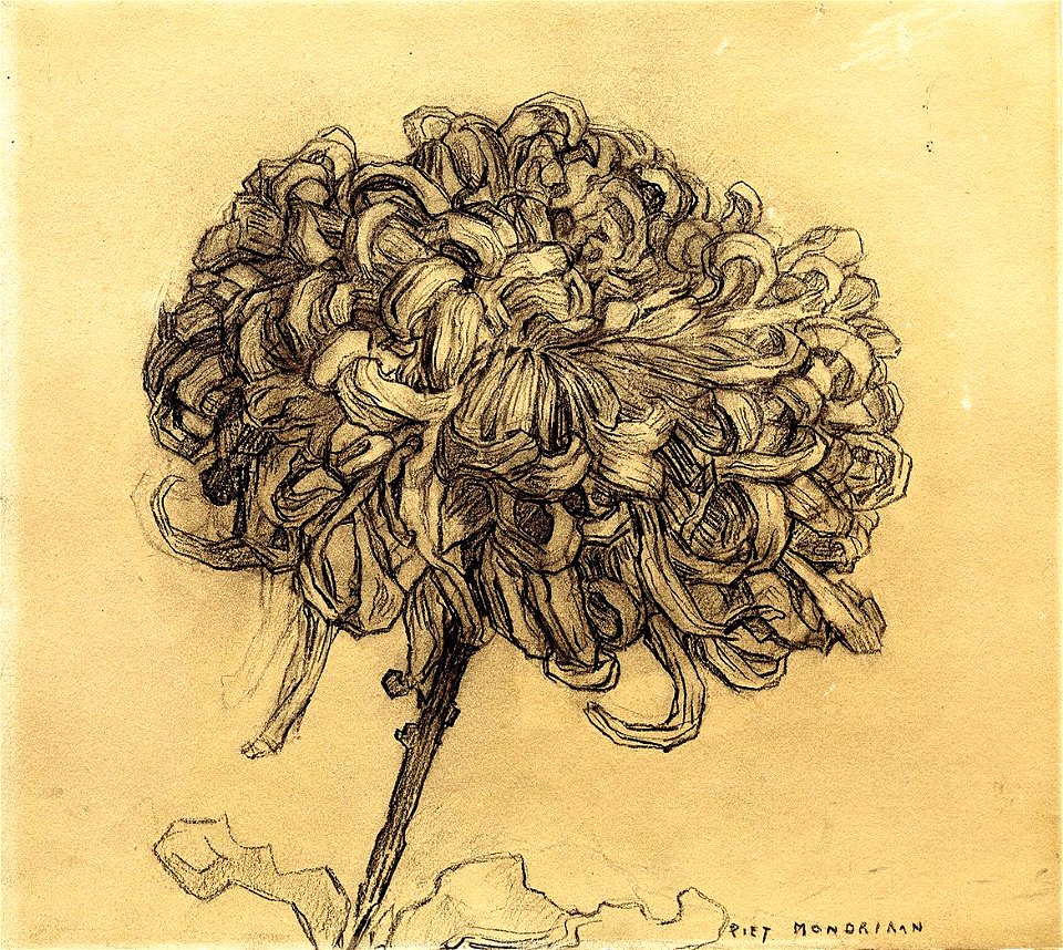 Mondrian - Chrysanthemum, ca. 1908–09