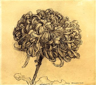 Mondrian - Chrysanthemum, ca. 1908–09