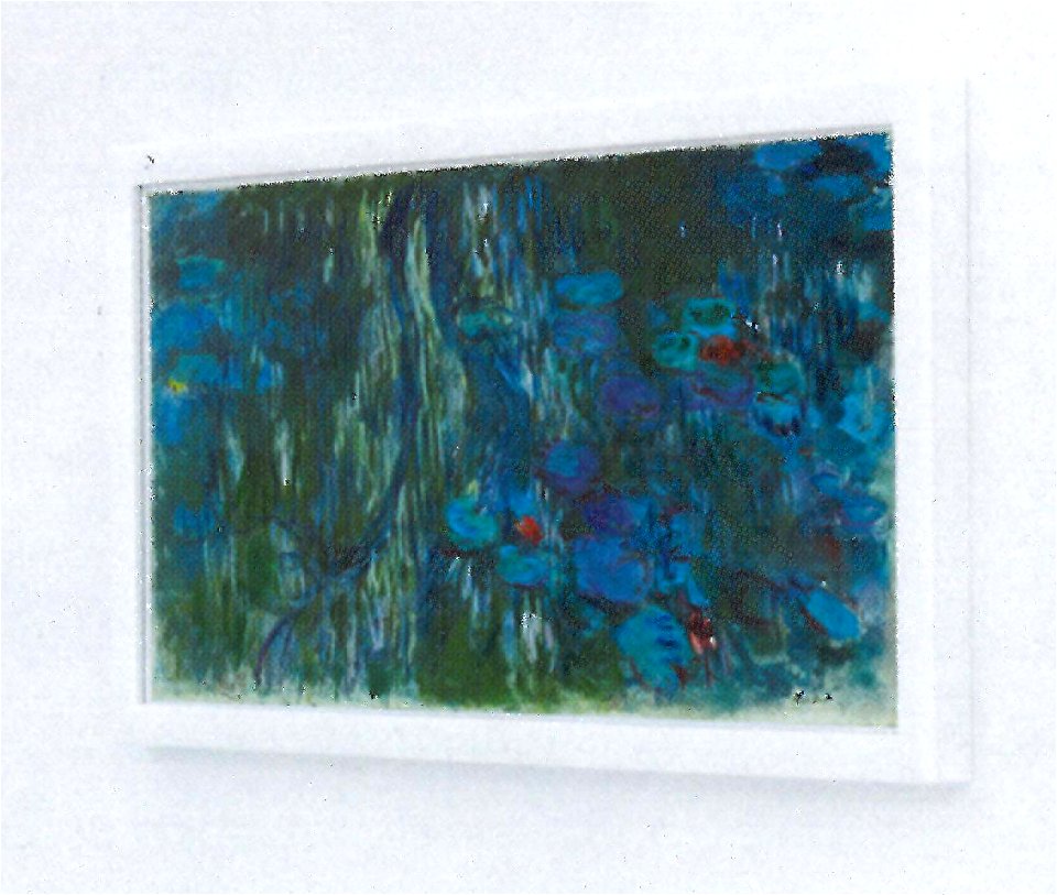 Monet-Water-lilies-Reflections-Chichu-museum