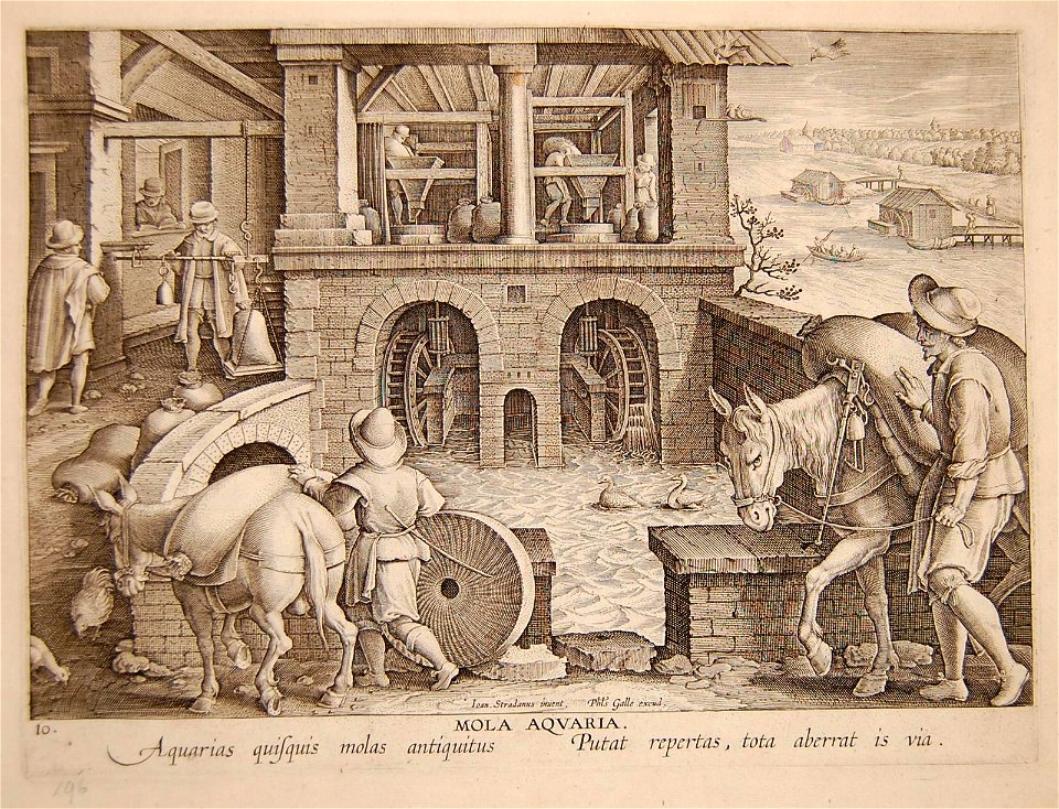 Mola acquaria (BM 1948,0410.4.200)