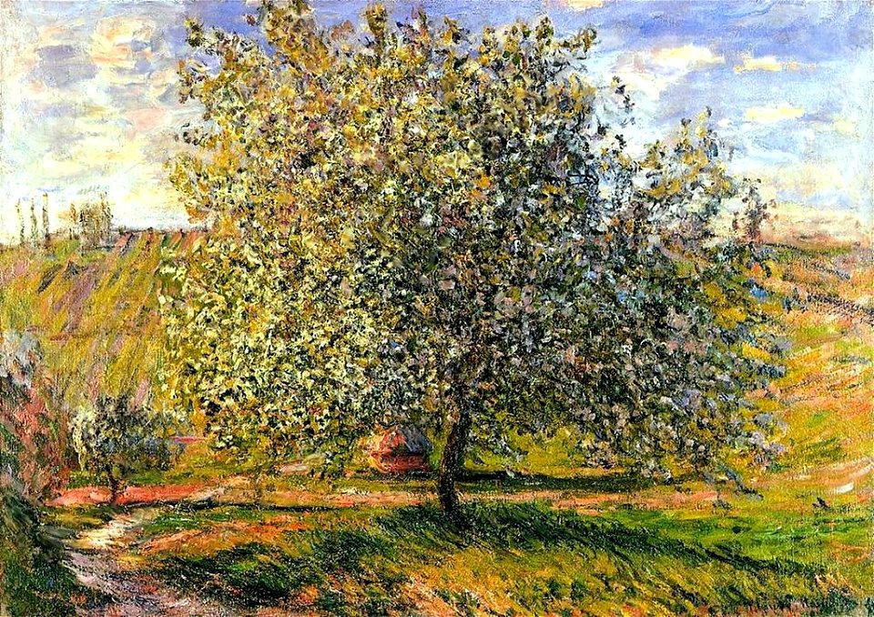 Monet w 524