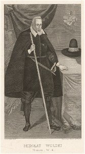 Marszałek Mikołaj Wolski
