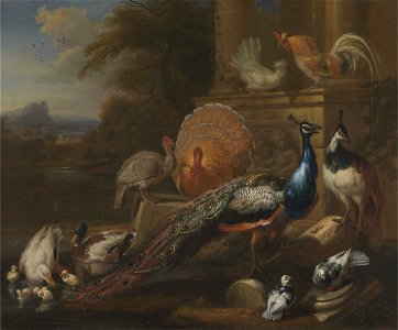 Marmaduke Cradock - Peacocks, Doves, Turkeys, Chickens and Ducks by a Classical Ruin - Google Art Project