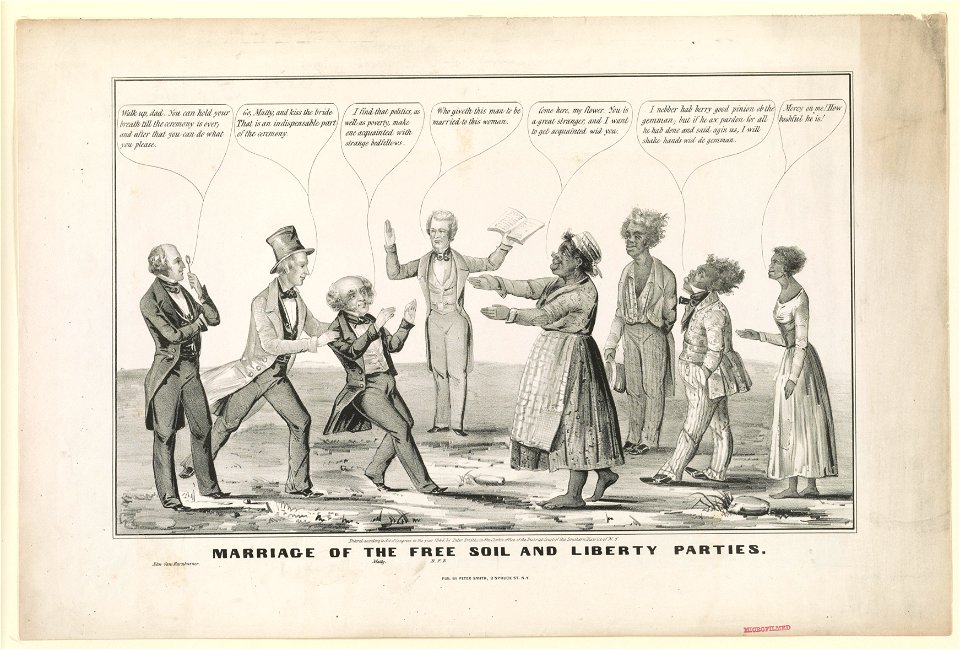 Marriage of the Free Soil and Liberty parties LCCN2003674557