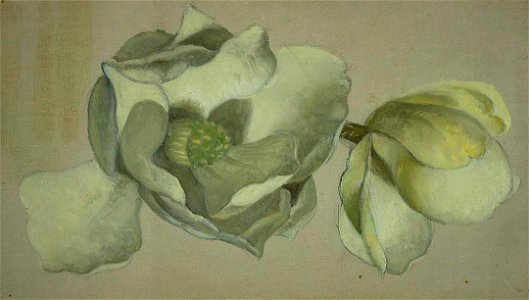Martin Johnson Heade - Study of Two Magnolia Blossoms - 2007.217 - Crystal Bridges Museum of American Art