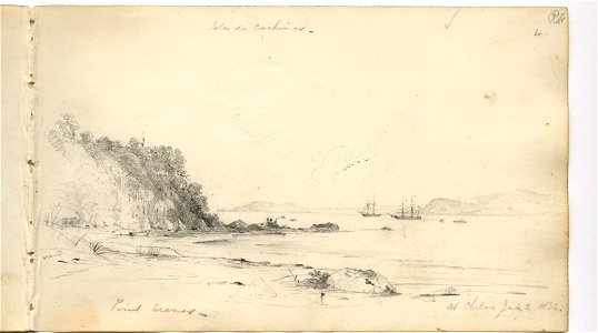 Martens, Point Punta Arenas and Isla de Cochinos, At Chiloé (image 31, page 19r)