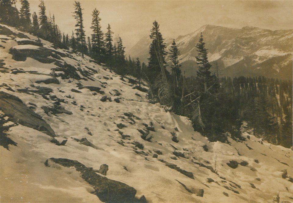Mountain Scenery (HS85-10-20118)