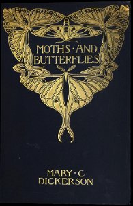 Moths and Butterflies cover, 1901