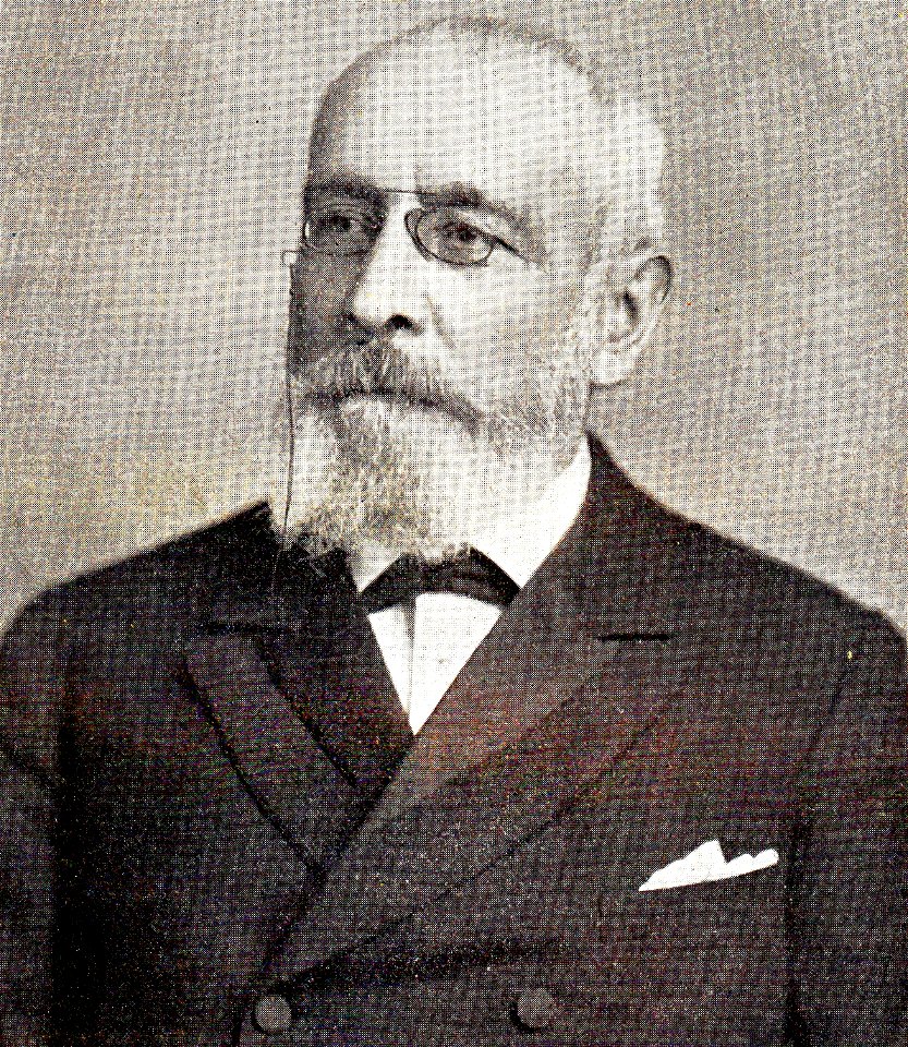 Mr W. Goltstein van Oldenaller