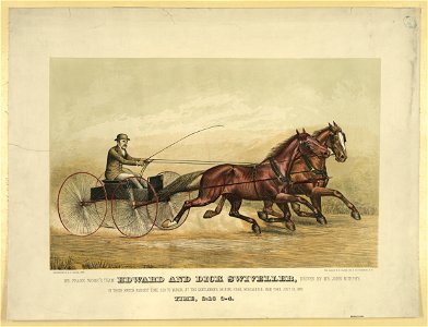 Mr. Frank Work's team Edward and Dick Swiveller, driven by Mr. John Murphy, in their match against time, 2-20 to wagon, at the gentlemen's driving park, Morissania, New York, July 13, 1882, LCCN2006677476