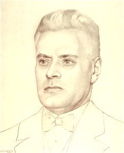 Mr. P.J. Oud