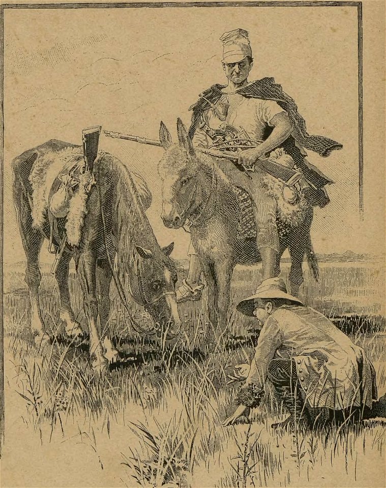 MAY, Karl - Syn lovce medvědův (page 12 crop)