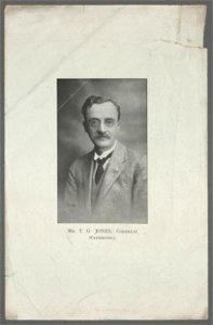 Mr. T. G. Jones, Coedllai (Cadeirydd) (5349008)