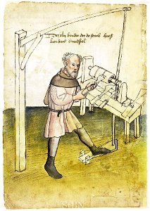 Mendel I 018 v