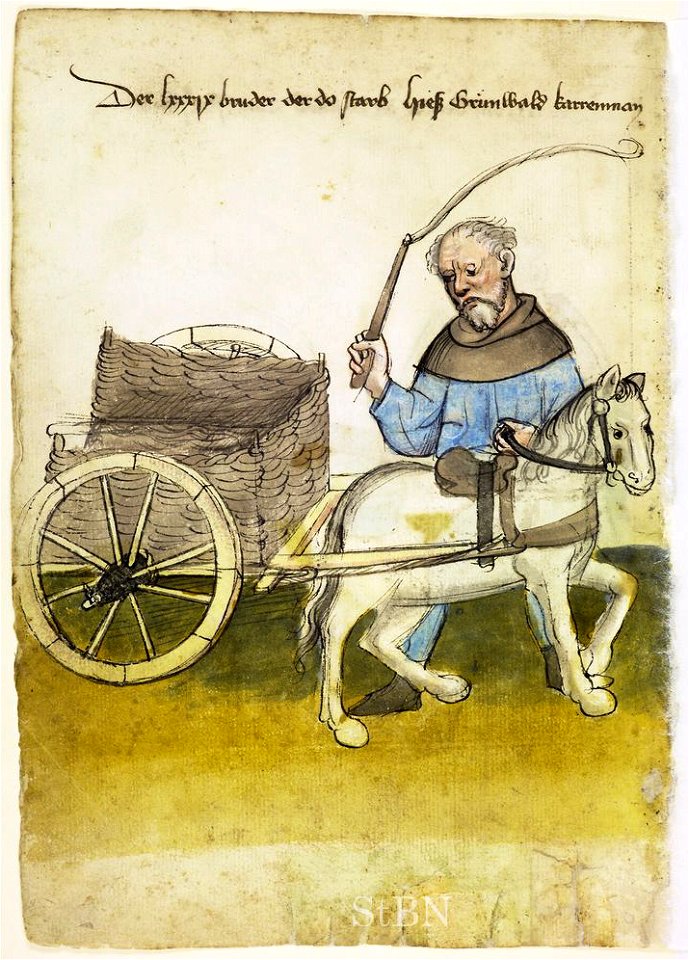 Mendel I 041 v