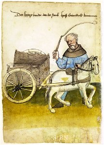 Mendel I 041 v