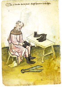 Mendel I 017 v