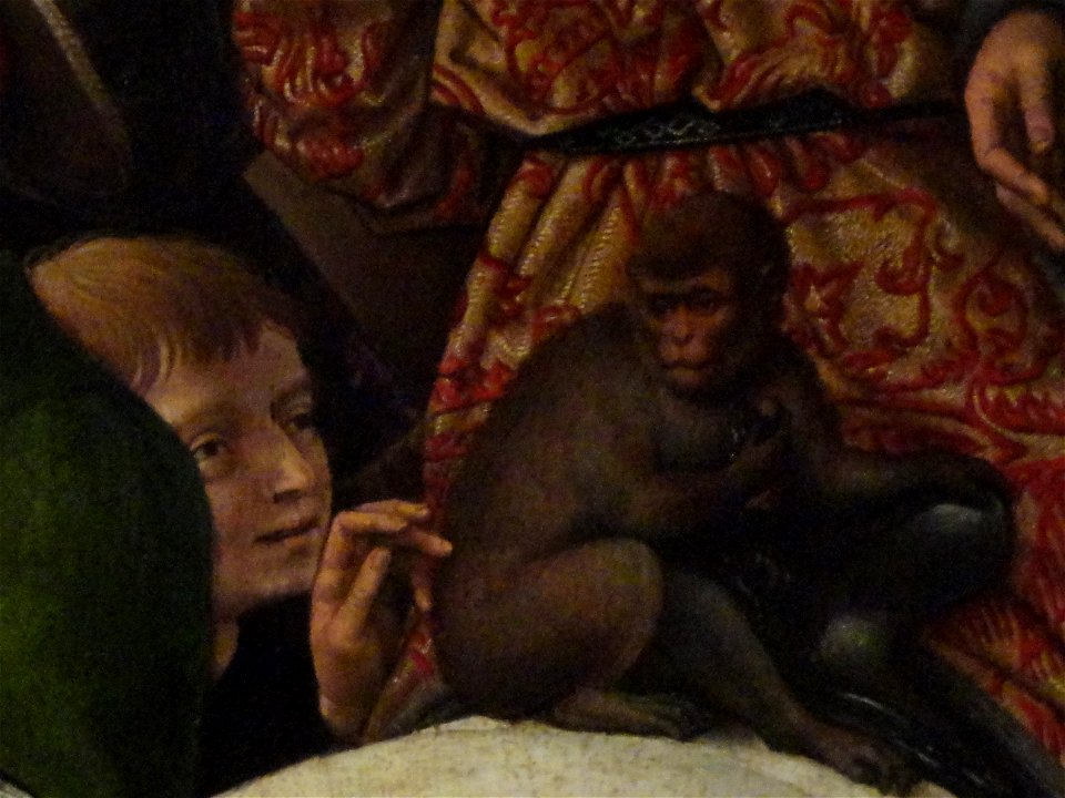 Memling, boy and monkey, Junge und Affe retouched