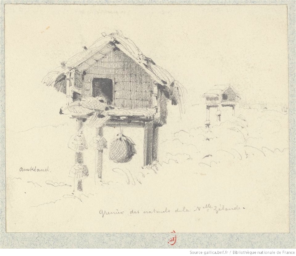 Meryon - Aukland, grenier des naturels de la N(ouv)elle Zélande, btv1b550021948