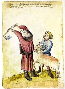 Mendel I 071 v