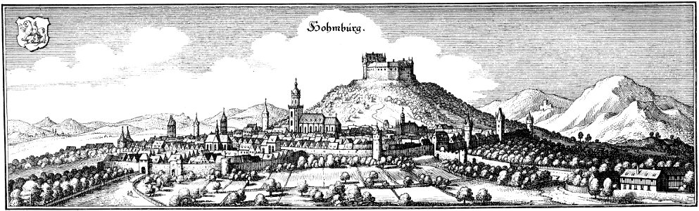 Merian Homberg Efze 1655