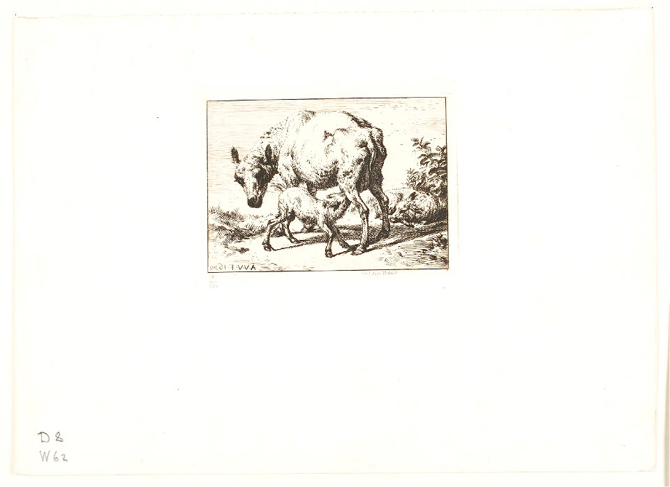 Meryon - The Ewe with Two Lambs, 1909.176