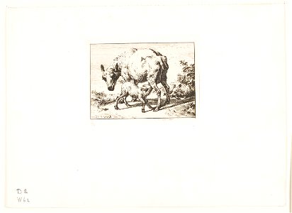Meryon - The Ewe with Two Lambs, 1909.176