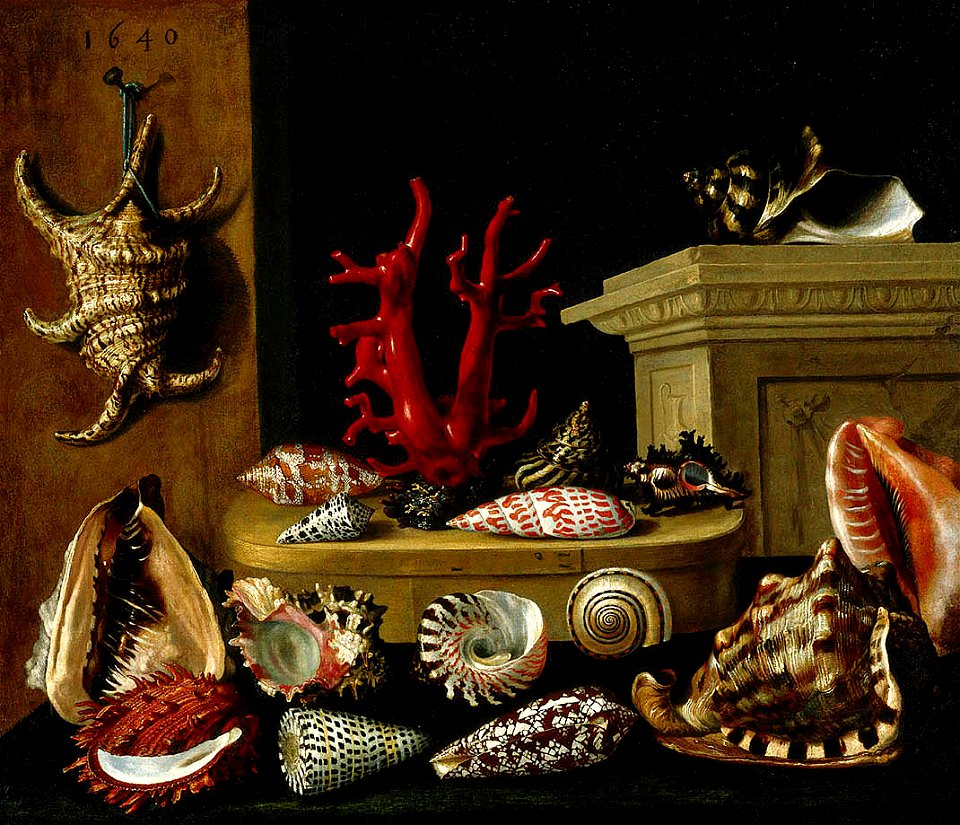 Nature morte aux coquillages et au corail