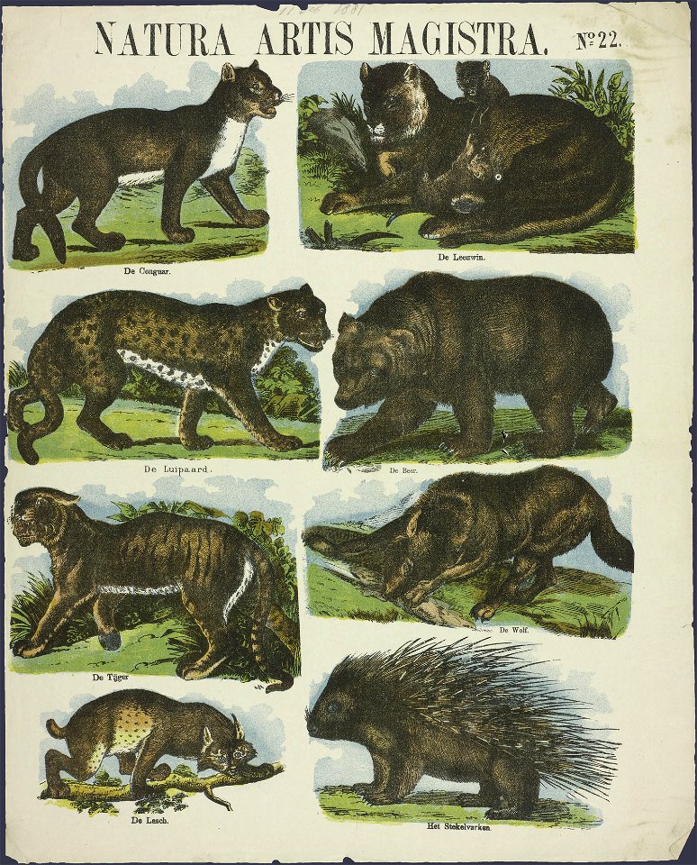 Naturis artis magistra-Catchpenny print-PRENT 0053