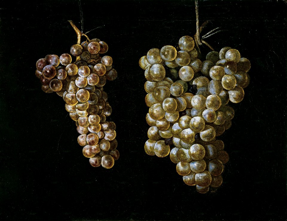 Miguel de Pret-dos racimos de uvas
