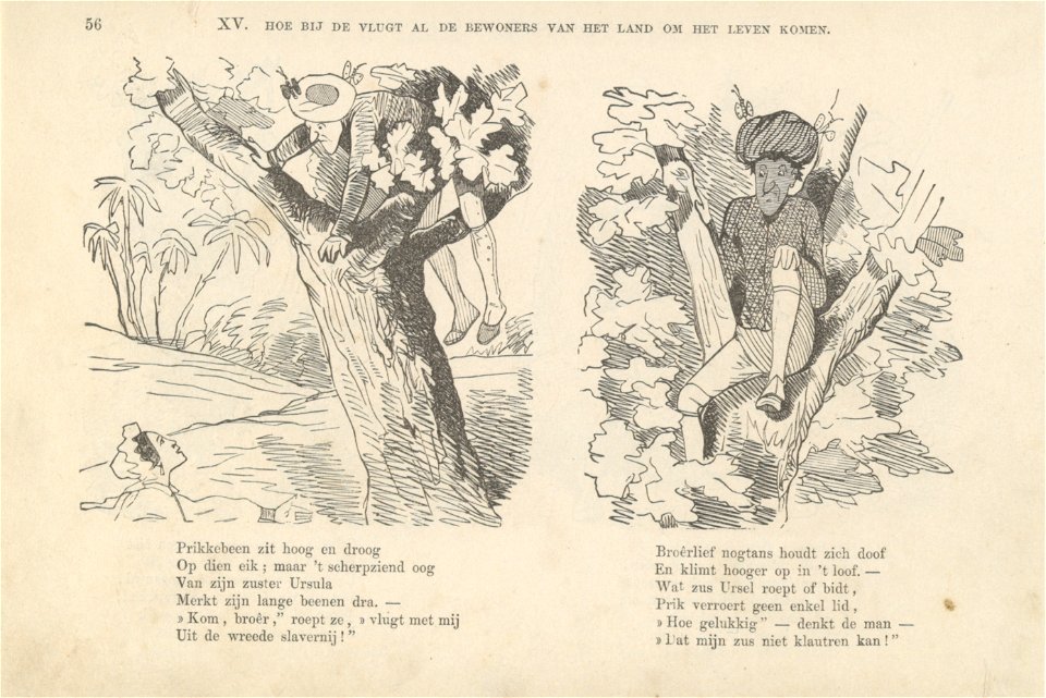 Mijnheer Prikkebeen - KW BJ 01955 - 056