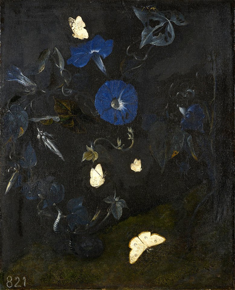 Otto Marseus van Schrieck (Nijmegen 1619-20-Amsterdam 1678) - Flowers with Butterflies and a Snake - RCIN 405621 - Royal Collection