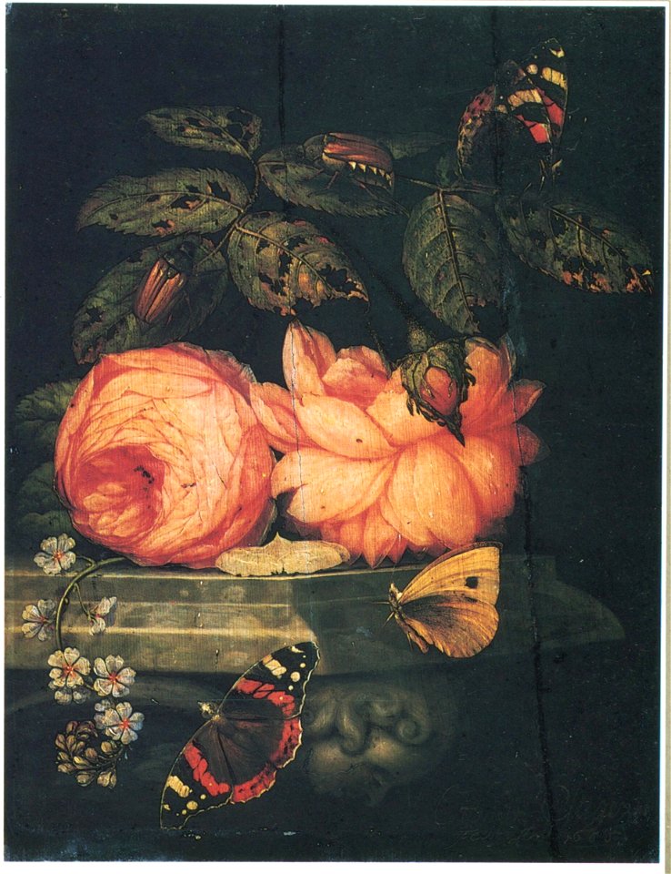 Ottmar Elliger 1666 - Roses and butterflies