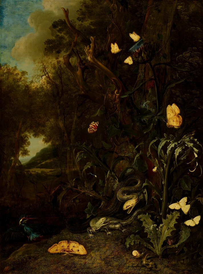 Otto Marseus van Schrieck - Plants and Insects - 532 - Mauritshuis