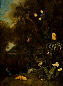 Otto Marseus van Schrieck - Plants and Insects - 532 - Mauritshuis. Free illustration for personal and commercial use.