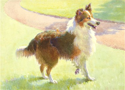 Oswald by Frances C. Fairman