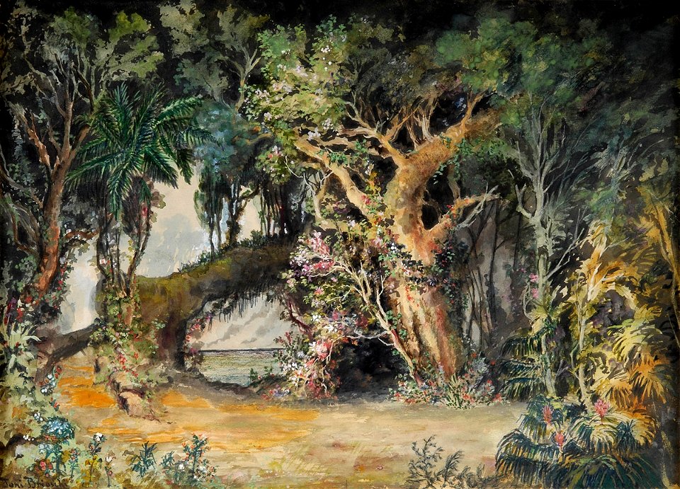 Othmar Biroschi Urwald