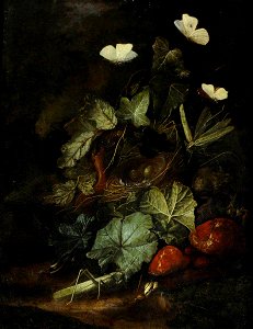 Otto Marseus van Schrieck (1619-1620-1678) - Forest Floor Still Life - 959490 - National Trust. Free illustration for personal and commercial use.