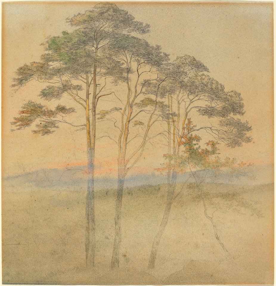 Ernst Ferdinand Oehme - Kiefern im Morgennebel