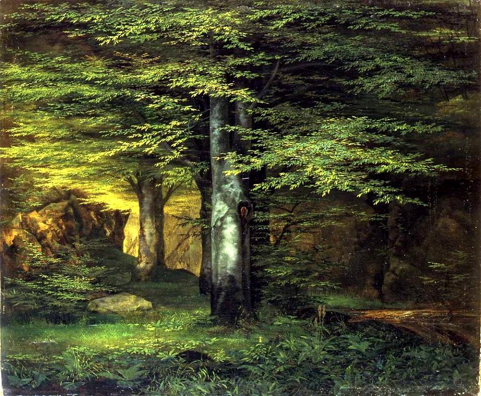Ernst Ferdinand Oehme - Waldinneres