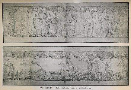 Parthénon, frises méridionale et septentrionale - Omont Henri Auguste - 1898