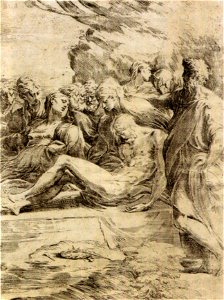 Parmigianino, deposizione, albertina