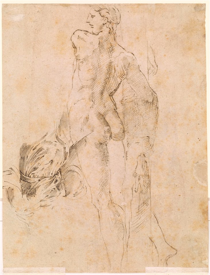 Parmigianino - Verso Standing Male Nude and Study of Drapery, IV, 42