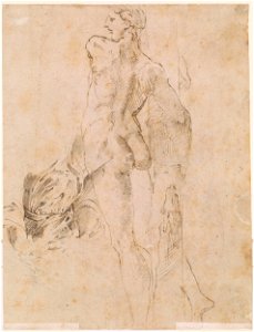 Parmigianino - Verso Standing Male Nude and Study of Drapery, IV, 42