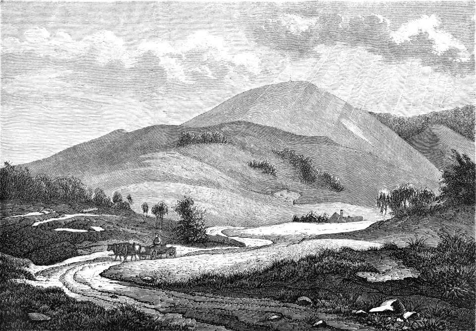 Parti af Himmelbjerget 1870